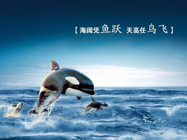 企業簡介